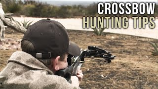 First Time Crossbow Hunting Tips [upl. by Annabelle]