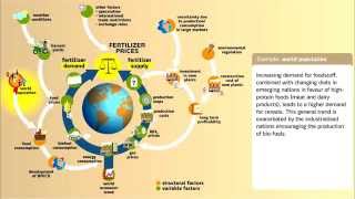 Understanding Fertilizer Market Dynamics [upl. by Ahsimac282]