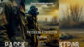 ЛУЧШИЕ КНИГИ ПО ВСЕЛЕННОЙ СТАЛКЕРА  ТОП 10 КНИГ [upl. by Oker]