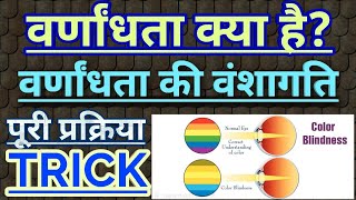 वर्णांधता और वर्णांधता की वंशागति।। What is Colour blindness in Hindi Varnandhta Biology [upl. by Rafaello]