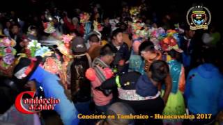 Condorcito Cazador  Tomando Cerveza  Concierto en Tambraico 2017 [upl. by Llennhoj873]