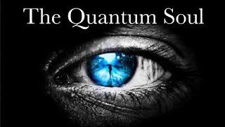 What is CONSCIOUSNESS The Case for the Quantum Soul [upl. by Milan]