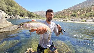 Overnight Wild Trout Catch and Cook in Remote Wilderness [upl. by Cassius]