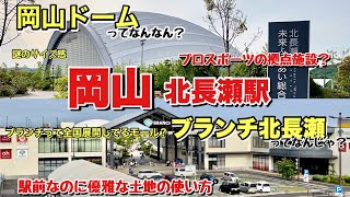 岡山駅から1駅隣はまだ都会ですか？駅前なのに優雅な再開発をしている北長瀬駅周辺を調査 [upl. by Ahsinad485]