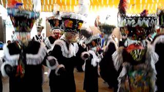 CHINELOS 2011 TEPOZTLAN EN XOCHIMILCO [upl. by Niletac266]