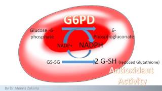 G6PD deficiency anemia case [upl. by Kuhn]