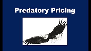 What is Predatory Pricing [upl. by Aynosal133]