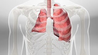 Atelectasis Definition of atelectasis classification af Atelectasis pathophysiology [upl. by Prudy]