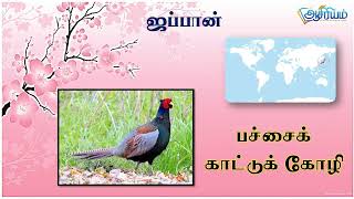 Grade 5 Scholarship Exam Birds And countries நாடுகளும் பறவைகளும்  Education  Tamil Asiriyam [upl. by Aliac]