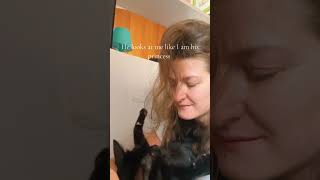 Princess asmr kiotoapparenza gattocarino love italymeet kitten princess cats relax [upl. by Asennav]