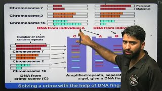 DNA FINGERPRINT PROCESS DNA fingerprinting neet2024 viralvideo [upl. by Avevoneg]