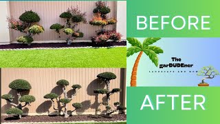 An INTERESTING boxwood BUSH  SHRUB CLEANUP CHECK it OUT 🌳 [upl. by Kaz]