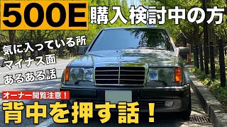 【グレード選び】W124ベンツ500E購入検討者の背中を押す動画【ポルシェライン】 [upl. by Gessner]