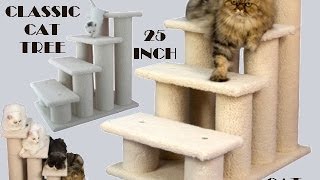 Armarkat B4001 Classic Cat Tree 25 Inch 4 Step Cat Stairs [upl. by Doley368]