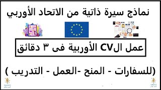 سيرة ذاتية احترافية على الطريقة الأوربية فى 5 دقايق  europass cv  للسفارات والمنح والعمل [upl. by Odnanreh417]