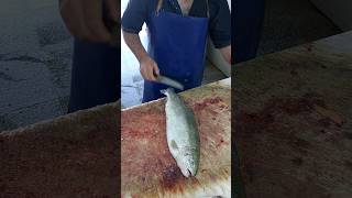 Easiest Way To Fillet A Salmon By Master Cutting Asia [upl. by Aterg]