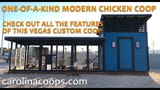 OneofaKind Modern Chicken Coop in Las Vegas [upl. by Yuhas]