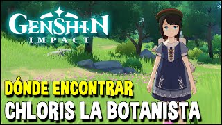 Botanista Chloris Localización Vende plantas de ascensión  Genshin Impact [upl. by Jody]