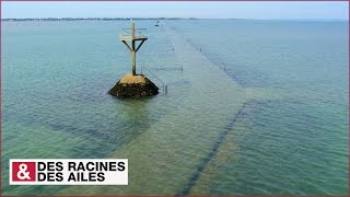 Le passage du Gois [upl. by Aldon378]