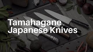 Tamahagane Premium Knives From Japan [upl. by Larentia]