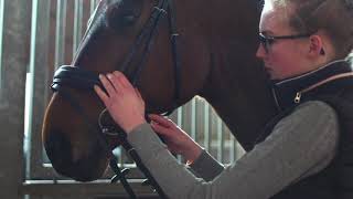 How to put together a quotmicklem stylequot bridle [upl. by Adalbert]