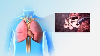 Pulmonary Rehabilitation  Nucleus Health [upl. by Tice]