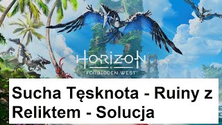 Horizon Forbidden West  Sucha Tęsknota  Ruiny z Reliktem  Solucja [upl. by Htennek892]