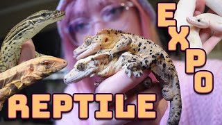 Attending a Reptile Expo NARBC St Louis [upl. by Cowley741]