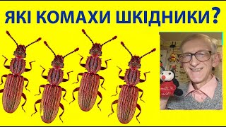 Ентомолог і Комахи Шкідники Саду Городу Запасів Ентомологічна Експертиза  Вам Цікаво [upl. by Leynwad455]