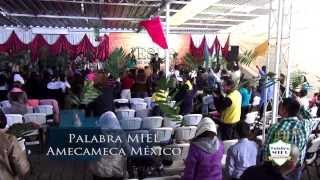 Alabanza Palabra Miel Amecameca [upl. by Enajiram]