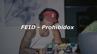 FEID  Prohibidox 🔥 LETRA [upl. by Deys]