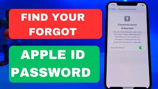 How To Find Forgot Apple ID Password 2024 [upl. by Vitale]