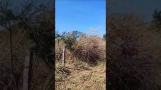 Donos de lotes no Bairro Residencial Araguaia em Araguatins Tocantins precisam limpar seus lotes [upl. by Llenra]