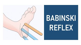 Babinski Reflex Plantar Reflex [upl. by Zilvia635]