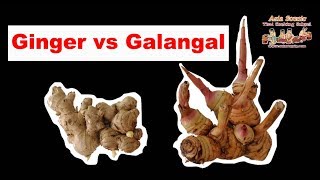 Ginger Galangal Thai Ginger  How different  Asia Scenic Thai Cooking School Chiang Mai Thailand [upl. by Enniotna]