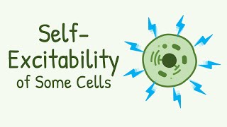 Neurology  Resting Membrane Graded Action Potentials [upl. by Bow658]