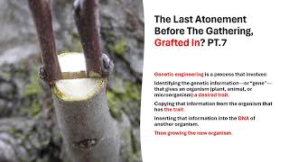 The Last Atonement Before The Gathering Grafted In PT7 [upl. by Beverie]