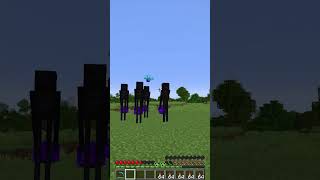 nether portal Luck 1331 Moment minecraft meme shorts [upl. by Brigitte]