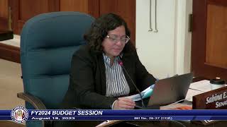 37th Guam Legislature FY2024 Budget Session  August 18 2023 AM [upl. by Hola]