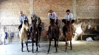 Preparacion de las Yeguas Remate 2016 La Invernada [upl. by Pinelli185]