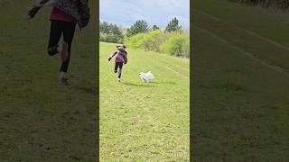 Together with my dog ​​I train running throwing a ball at a distance squatting jumping 😁 [upl. by Navanod705]