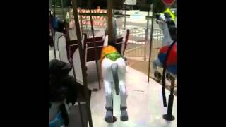 Riding the carousel at the Lagrange fair 2 [upl. by Yevre]