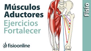 Músculos aductores  Fortalecimiento o reprogramación [upl. by Mcclure876]