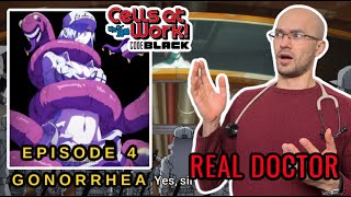 REAL Doctor reacts to Cells at work Code Black Anime review  Episode 4  Front line Gonococci [upl. by Shantha598]