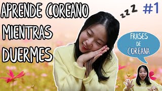 Aprende Coreano Mientras Duermes 1 FRASES MÁS CORRECTAS [upl. by Atterbury]