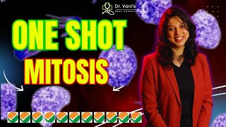 MASTERING MITOSIS IN ONE SHOT NEET 2025 VANI MAAM EASY TRICKS [upl. by Maurise]