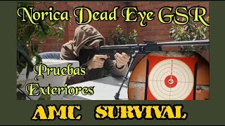 Norica Dead Eye GSR 45 mm Pruebas Exteriores [upl. by Adnohs192]