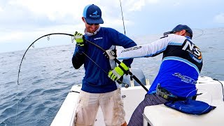 Monster Grouper Spinning Tackle Fishing Challenge [upl. by Eirollam994]