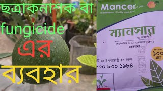 ছত্রাকনাশক কি এর কাজ কখন ও কিভাবে ব্যবহার করতে হয় ।। use of fungiside in plants [upl. by Ahsiken]