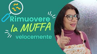 Rimuovere la MUFFA dai muri  A Casa Di Anna Felice [upl. by Ardnohsal]